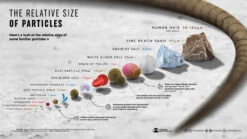 Allergy Filter Screens -Metro Screenworks Sales Store AllergyGuard Comparison Graphic 1 13268.1672778911