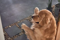 HERCULES EXTRUDED Sliding Screen Door UNASSEMBLED 21 HERCULES EXTRUDED Sliding Screen Door UNASSEMBLED -Metro Screenworks Sales Store BronzeDoor MID Interior DOG 6 23594.1674246104.1280.1280 52503.1674246112