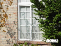 Genius® Retractable Window Screens -Metro Screenworks Sales Store HUaYA4WK.jpeg 24808.1565129204