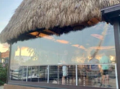 Genius Motorized Vinyl Screens -Metro Screenworks Sales Store Vinyl Unit Image 225 42141.1693248030