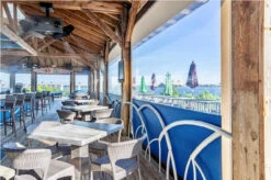 Genius Motorized Vinyl Screens