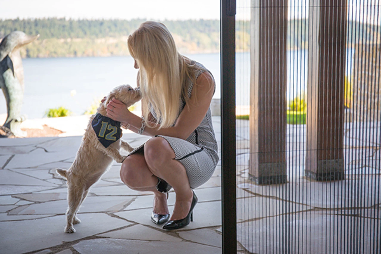 Sheer Classic Single Panel Retractable Screen 2 Sheer Classic Single Panel Retractable Screen - Image 2